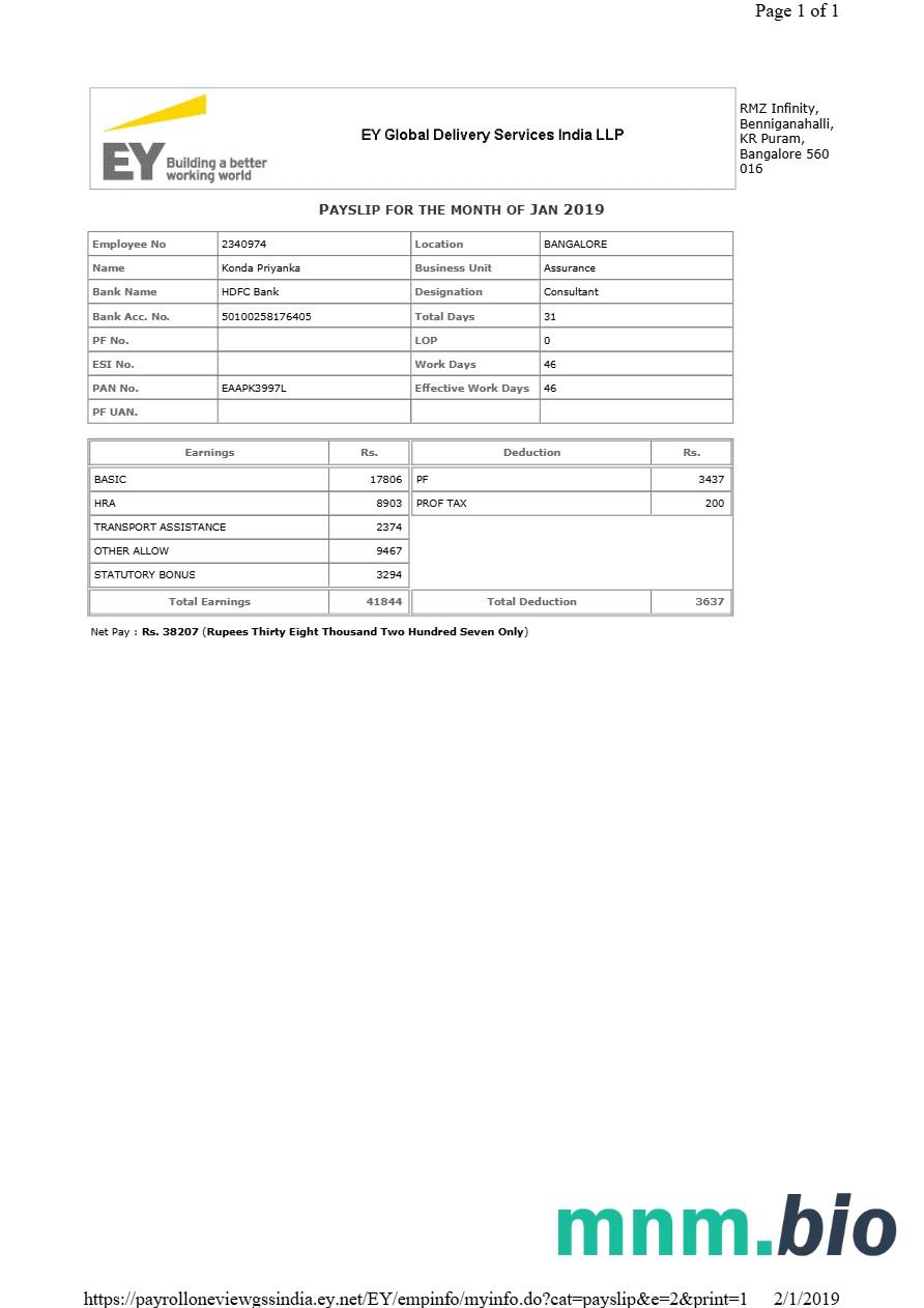 Szablon odcinka wypłaty EY Global Delivery Services w formatach Word i PDF